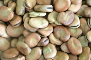 Wholesale Dried Fava <b>Beans</b> with Shell Healthy Nut Snack Fried Salty Vacuum Packed Broad <b>Beans</b> Snacks - Product Image 3