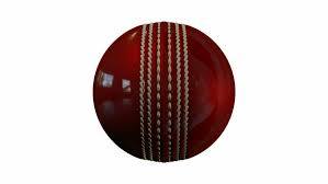 Ballon de cricket rouge et blanc HRM PC-10 - Product Image 4