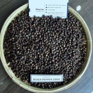 PIMIENTA NEGRA de alta calidad 500-550-570G/L-Línea directa: Sra. Lona + 84 971629648(Tel/Viber/Zalo) - Product Image 3