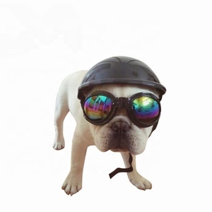 dog in construction hat
