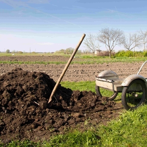 Bio Enzyme Products for Faster and Natural Composting Process - Product Image 6