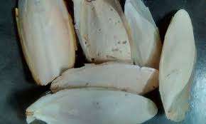 Os de seiche séché aux fruits de mer/os de seiche du Vietnam pour oiseau - Product Image 2