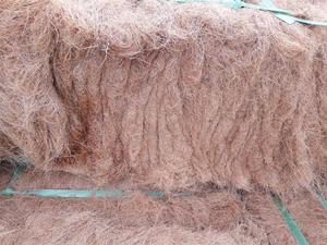 Cuerda de fibra de coco de alta calidad Cuerda de fibra de coco de fibra de cáscara de coco Calidad de exportación para uso de colchón y cepillo - Product Image 5