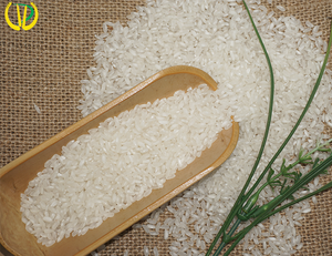 Arrocera blanca de grado A, alta calidad, 2022, venta al por mayor - Product Image 2