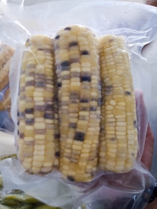 Maíz Dulce Congelado Sin GMO de Vietnam, Cantidad a Granel/ FESTIVAS +84 845 639 639 - Product Image 4