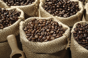 Café vert Robusta de qualité supérieure, Afrique du Sud, emballage personnalisé en sac de jute - Product Image 6