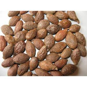 Tuerca MALVA/ STAERCULIA de alta calidad, venta al por mayor - Product Image 2