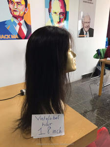 Hot Selling High Quality Remy Vietnam Human Hair Full <b>Lace</b> 20 Inch Customizable Color Straight Capless <b>Black</b> Women Wigs - Product Image 4