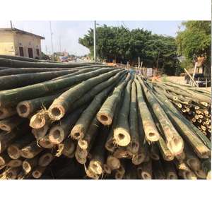 ธรรมชาติที่มีคุณภาพสูงไม้ไผ่เสาขาย - Product Image 1