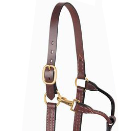 หัวเข็มขัดทองเหลืองทำจากหนังวัวมีเชือกคล้องคอทรงอานม้าม้าแบบอังกฤษปรับแต่งได้ - Product Image 3