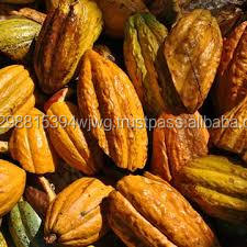 Granos de Cacao/Cacao (certificado orgánico) - Product Image 2