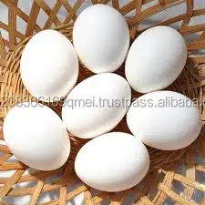 南アフリカからの新鮮な茶色と白の殻の鶏の卵