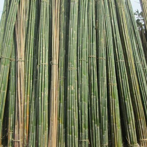 Alta calidad y buen precio: postes de bambú hechos en Vietnam - Product Image 1