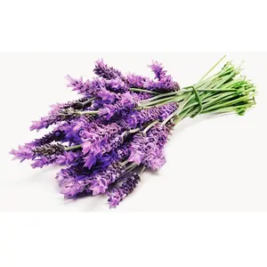 Proveedores de aceite de lavanda para fabricación de Perfume, a bajo precio, de los países europeos - Product Image 1