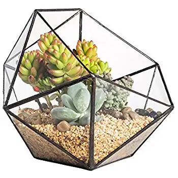 Plant Terrarium Home And Wedding Decor Glass Art Terrarium Box Air Plant New Design Geometrical Glass Box For Plants