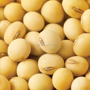 Haricots de soja de qualité supérieure du Brésil, sans OGM, approvisionnement élevé - Product Image 2