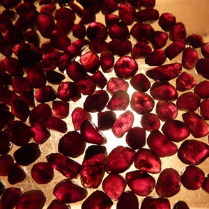 
 
 
 Piedras Preciosas Sueltas de Granate Púrpura Indio Natural Sin Calentar, Tamaños Mixtos Sin Cortar |   Certificado por Terceros |   Coszcatl Ex - Product Image 2