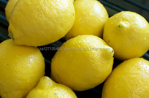 Limón orgánico fresco Premium Sudáfrica Natural - Product Image 2