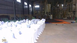 Ventas calientes Nueva temporada Vietnam Pimienta negra Seca Crudo MC Especias Pimienta 500GL 550GL Especias baratas de Vietnam - Product Image 4