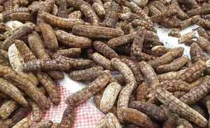 กล้วยป่าอบแห้ง ต้นกำเนิดจากเวียดนาม - Product Image 4