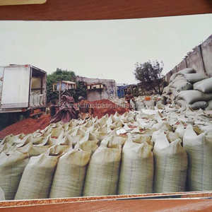 Cáscara de granos de café de cacao de alta calidad - Product Image 5