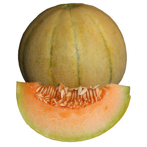 Aceite Portador de Melón Muskmelon, Prensado en Frío, de Semillas - Product Image 5