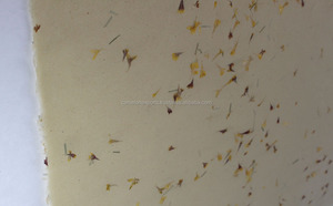 Tùy Chỉnh Handmade Axit Miễn Phí Màu Sắc Tự Nhiên Đay Vườn Mô Giấy 80 GSM Cánh Hoa Cỏ Món Quà Bọc Bao Bì Giấy Tấm - Product Image 2