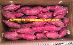 Boniato japonés fresco - Product Image 3