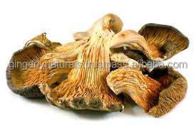 ผู้จัดจำหน่าย Morels จากอินเดีย - Product Image 4