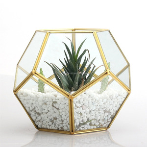 Ideas de decoración para jardín en casa, terrario geométrico con marco de metal dorado para regalo promocional, al por mayor - Product Image 1