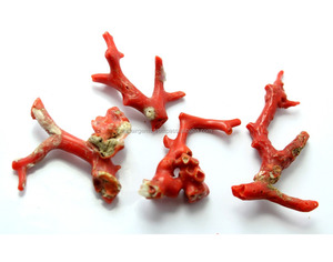 Coral Rojo Italiano Natural, Pulido, de Primera Calidad - Product Image 2