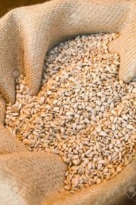 Graines de tournesol séchées crues biologiques de qualité supérieure pour confiserie et boulangerie, prix de gros - Product Image 2