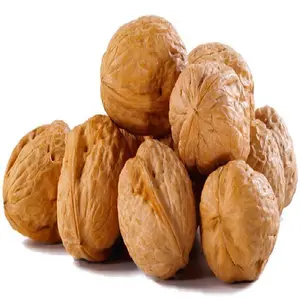 Walnut & Walnut Kernel for sale/New crop Wholesale Walnut kernel