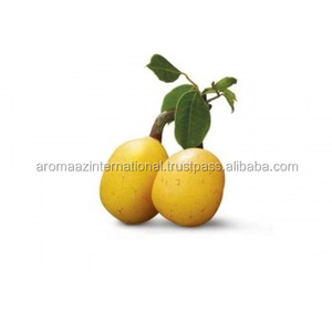 Fabricante y proveedor de aceite puro de marulla, a granel, de alta calidad y precios adecuados en la India - Product Image 1