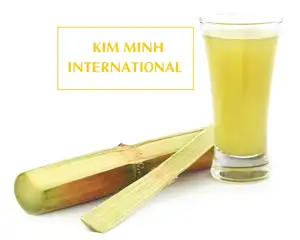 Vietnam succo di canna da zucchero congelato fresco 100% purezza IQF canna da zucchero succo di agrumi 16% Brix 24 mesi di durata in magazzino