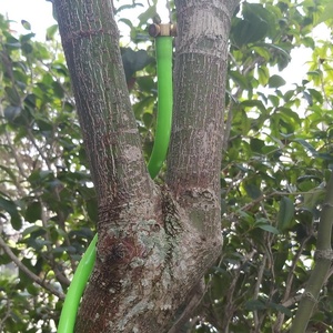 ระบบพ่นหมอกแบบตั้งได้,ยืดหยุ่นได้ - Product Image 3