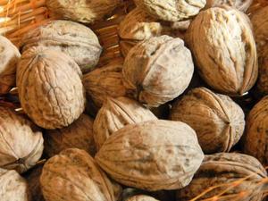 Nueces Secas de Primera Calidad en Venta, Procesadas Crudas, Provenientes de Sudáfrica, para Exportación Mundial - Product Image 2