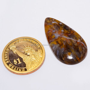 Palm gốc hóa thạch Cabochon trộn hình dạng tất cả các kích thước bán quý Chất lượng cao đẹp cọ gốc hóa thạch đá quý pha lê chữa bệnh tumbleds - Product Image 5