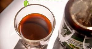 Jus de fruit de noni de pureté 100%-Meilleur prix - Product Image 2