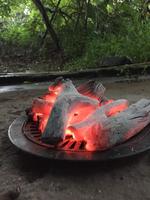 Charbon de bois blanc Binchotan du Vietnam de haute qualité, bois dur, 5-6 heures de combustion, sans fumée, sans flamme, sans produits chimiques, 88-92% de carbone fixe