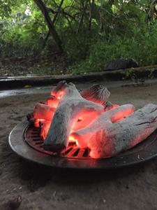 Barbekü ızgara için en kaliteli VIETNAM BINCHOTAN beyaz kömür