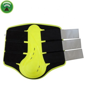 Precio de fábrica de venta de caballo de férula tendón de arranque - Product Image 6