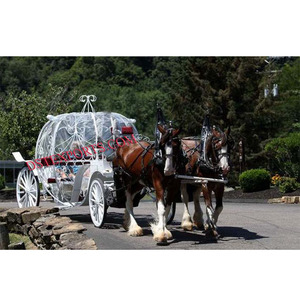 Double Cheval Mariage Cendrillon Chariot Cendrillon Cendrillon pour Touring Crowning Twin Horse Cendrillon Voitures USA - Product Image 1