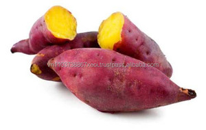 PATATE douce POUR LES VENTES DU VIETNAM - Product Image 5