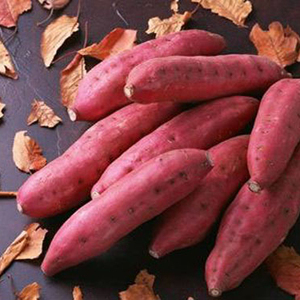Premium Organic <b>Fresh</b> <b>Sweet</b> <b>Potatoes</b> Purple Varieties from Vietnam - Product Image 2
