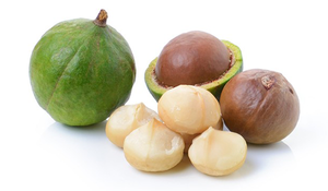 Noix de macadamia en noix séchées Noix de macadamia en noyau de haute qualité - Product Image 2