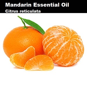 Les fournisseurs offrent l'huile essentielle pure d'arbre à thé biologique et de mandarine pour la fabrication de bougies et de mélanges - Product Image 5