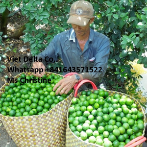 Fruit de citron vert frais/limes sans pépins naturels - Product Image 2