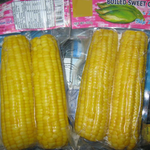 Maíz Dulce Congelado Mejor Precio Alta Calidad 2021 - Product Image 2