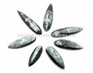 Orthopédique naturel, Cabochon fossile en forme de poire, qualité supérieure, prix de gros - Product Image 2